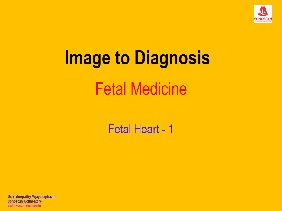 Image to Diagnosis – FM – Fetal Heart 1