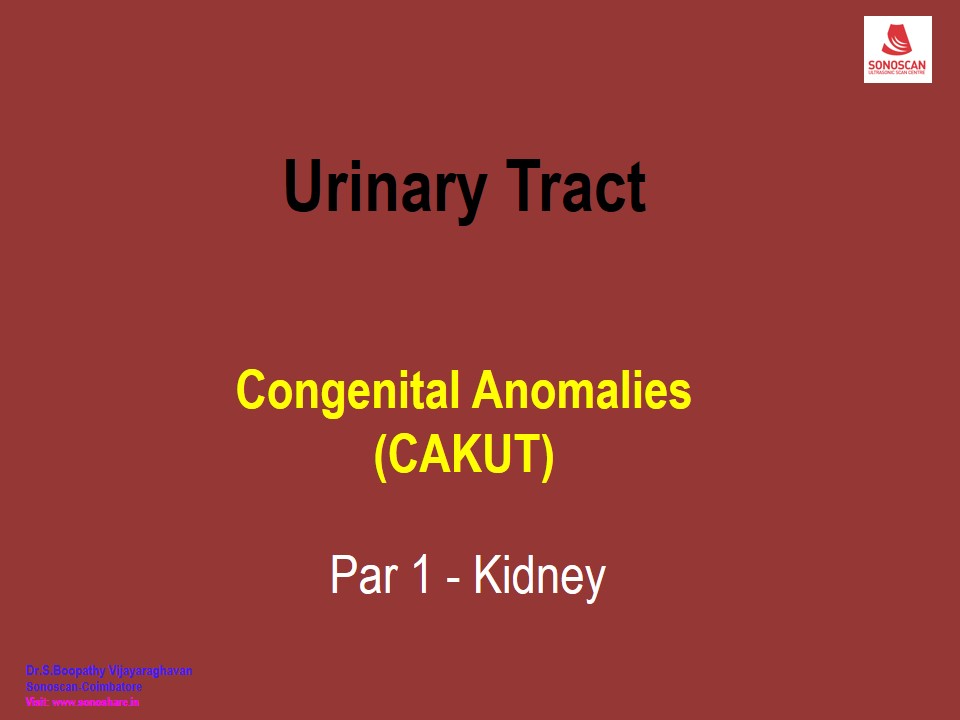 Sonography of Congenital Anomalies in Urinary Tract – Part 1 - Kidney