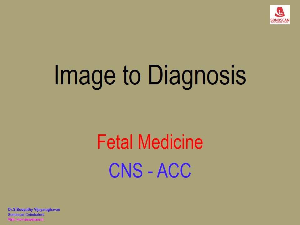 Image to Diagnosis – FM – CNS- Midsagittal Scan