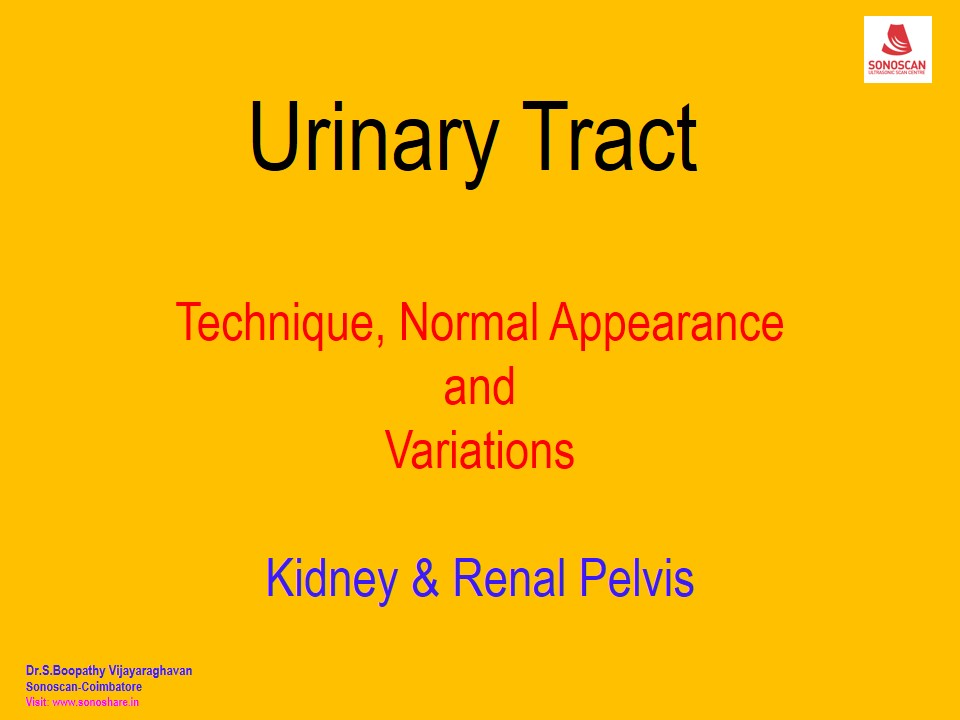 Sonography of Urinary Tract – Technique – Kidney& Renal Pelvis