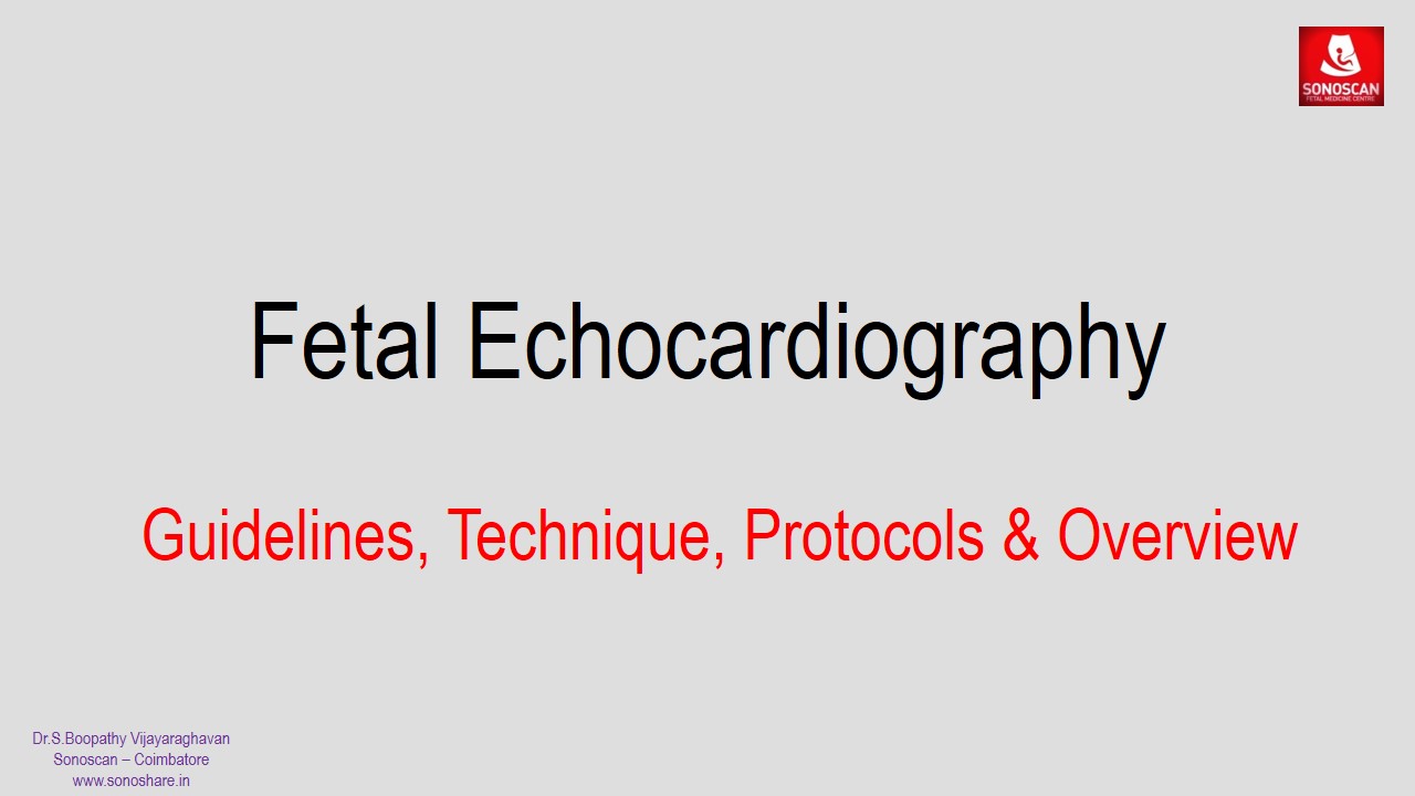 Feta Echocardiography – Guidelines, Technique, Protocols