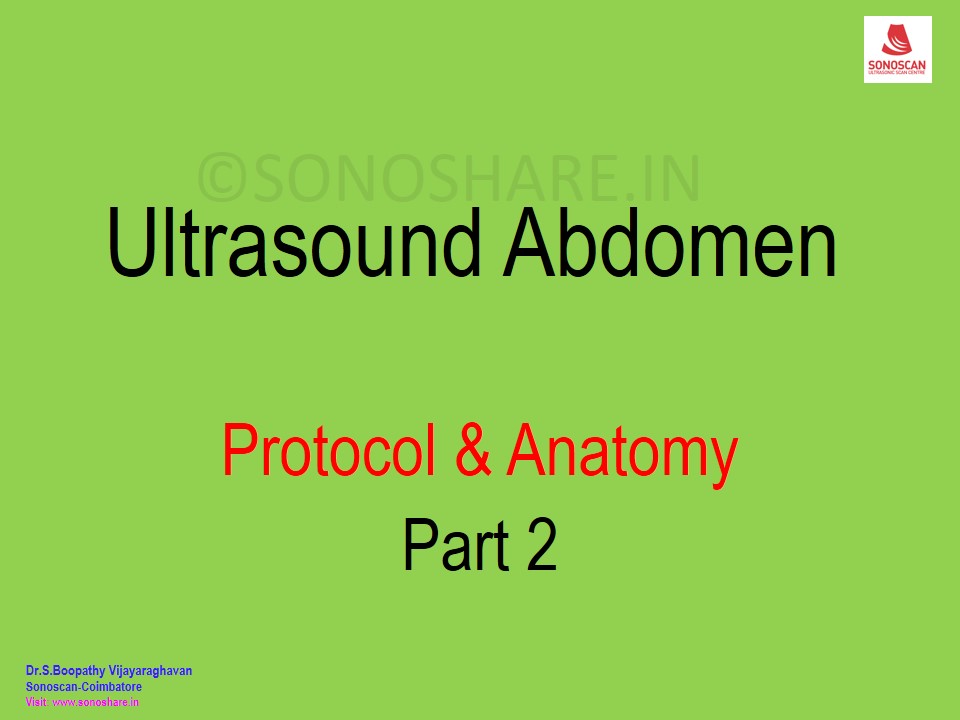 Abdomen - Anatomy - Part 2