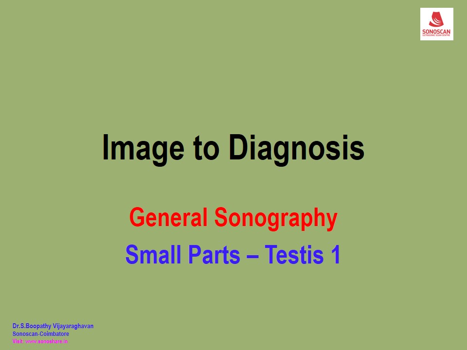 Image to Diagnosis – General USG– Testis 1