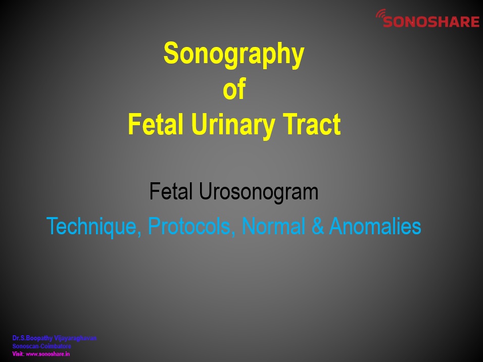 Fetal Urinary Tract – Technique, Protocol, Normal Appearance and Anomalies