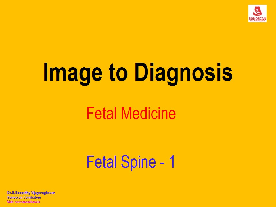 Image to Diagnosis – FM – Spine 1
