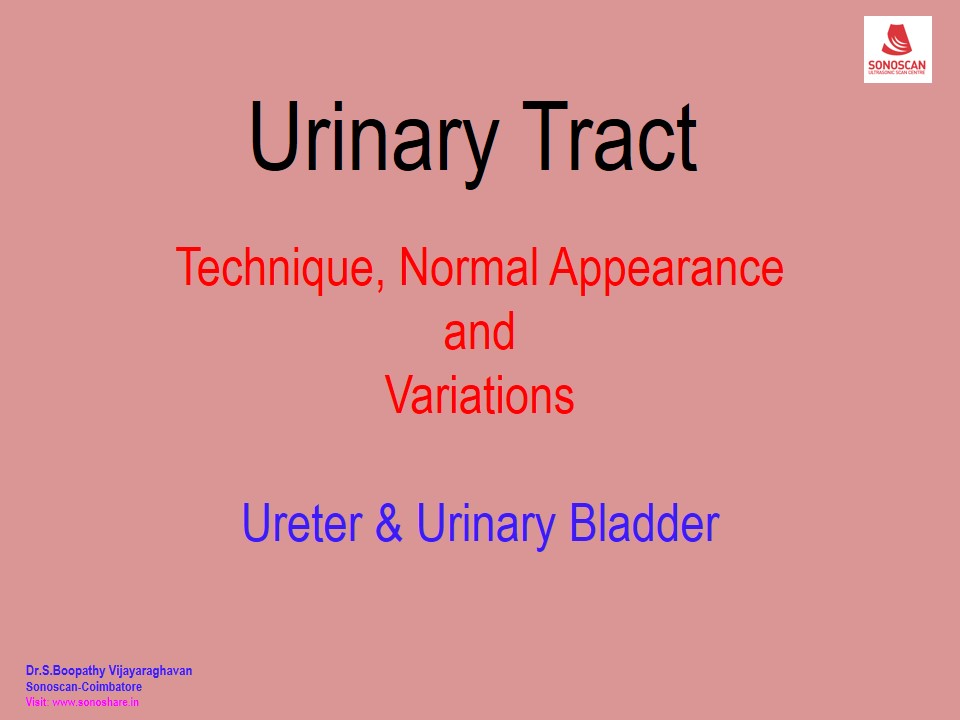 Sonography of Urinary Tract – Technique – Ureter & Bladder