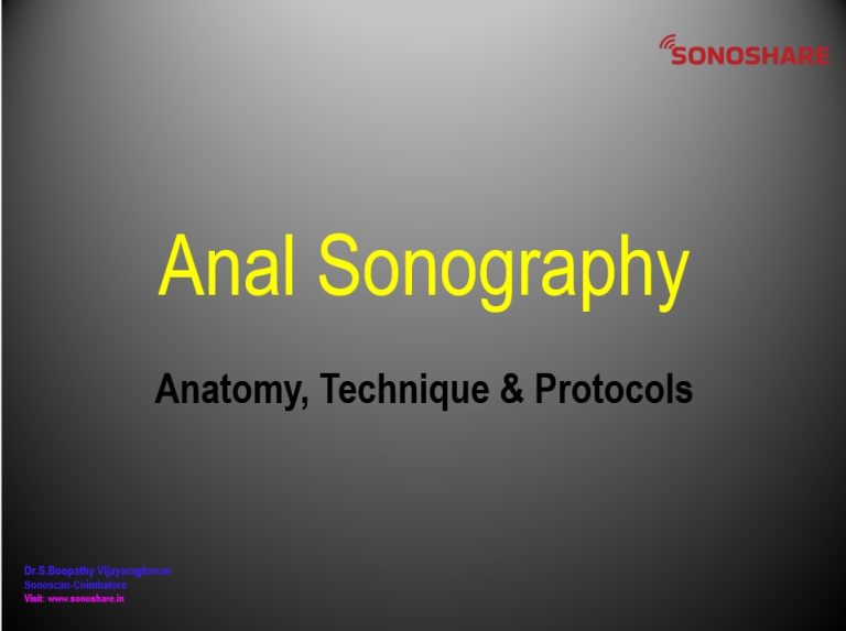 Lev Protocol Songraph Anal Sonography Part 1 – Anatomy, Technique & Protocol - SonoShare